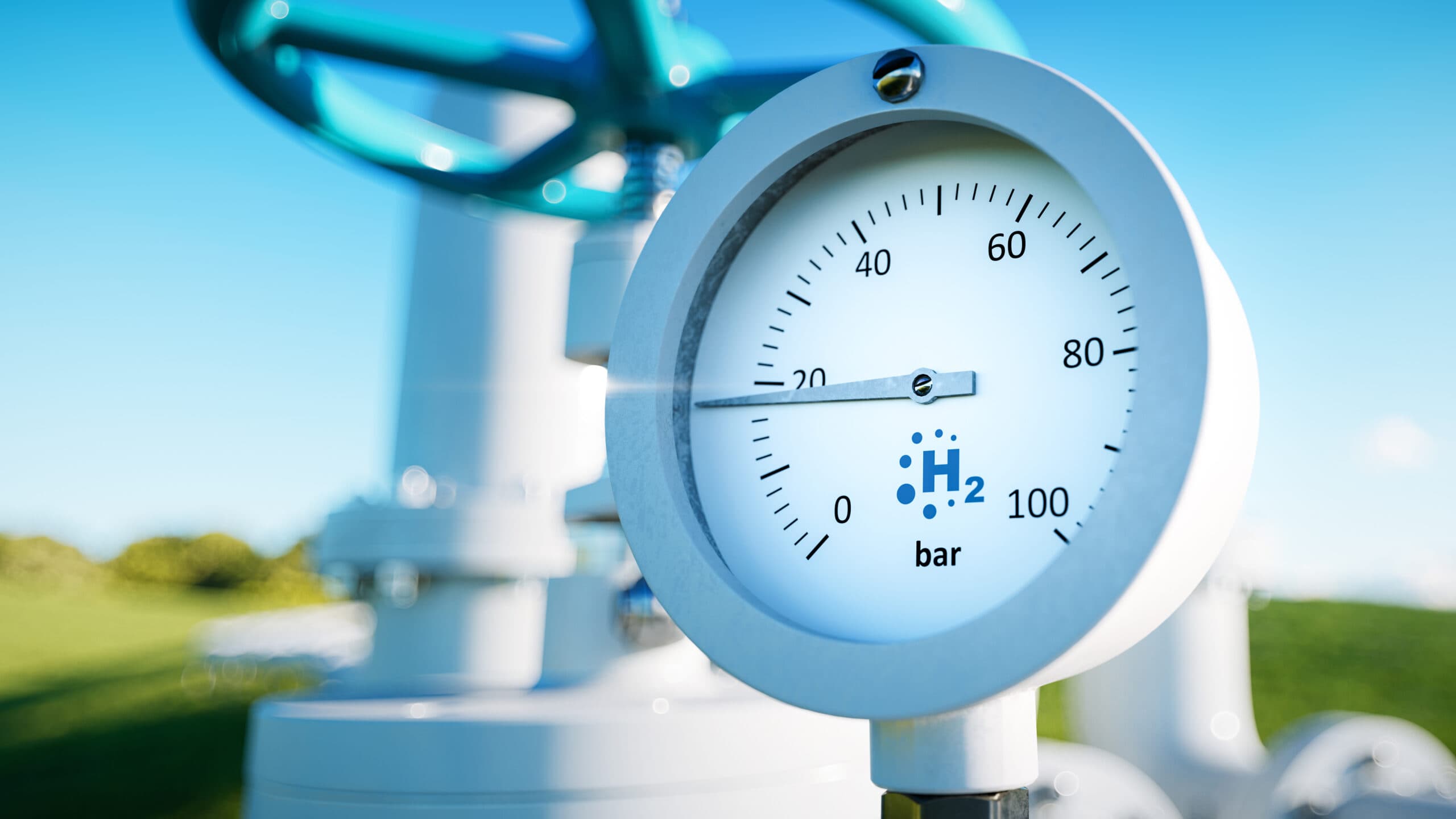 Hydrogen electrolyzer and renewable energies